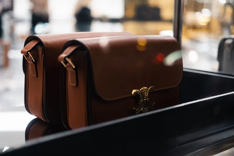 Coast to Coast Luxury: How American Regional Identity Shapes Saint Laurent Handbag Preferences